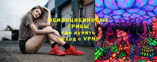 spice Струнино